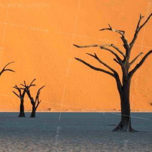 Misha Tuvin, "600 Years of Waiting #1", Sossusvlei, Namibia 2017, Framed 16"x20", $90