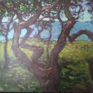 Trees and Ocean